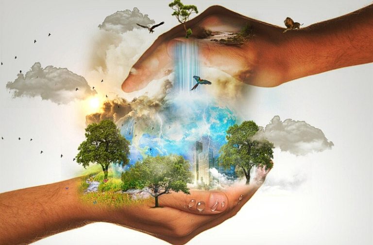 How Biodiversity Loss Affects Your Everyday Life