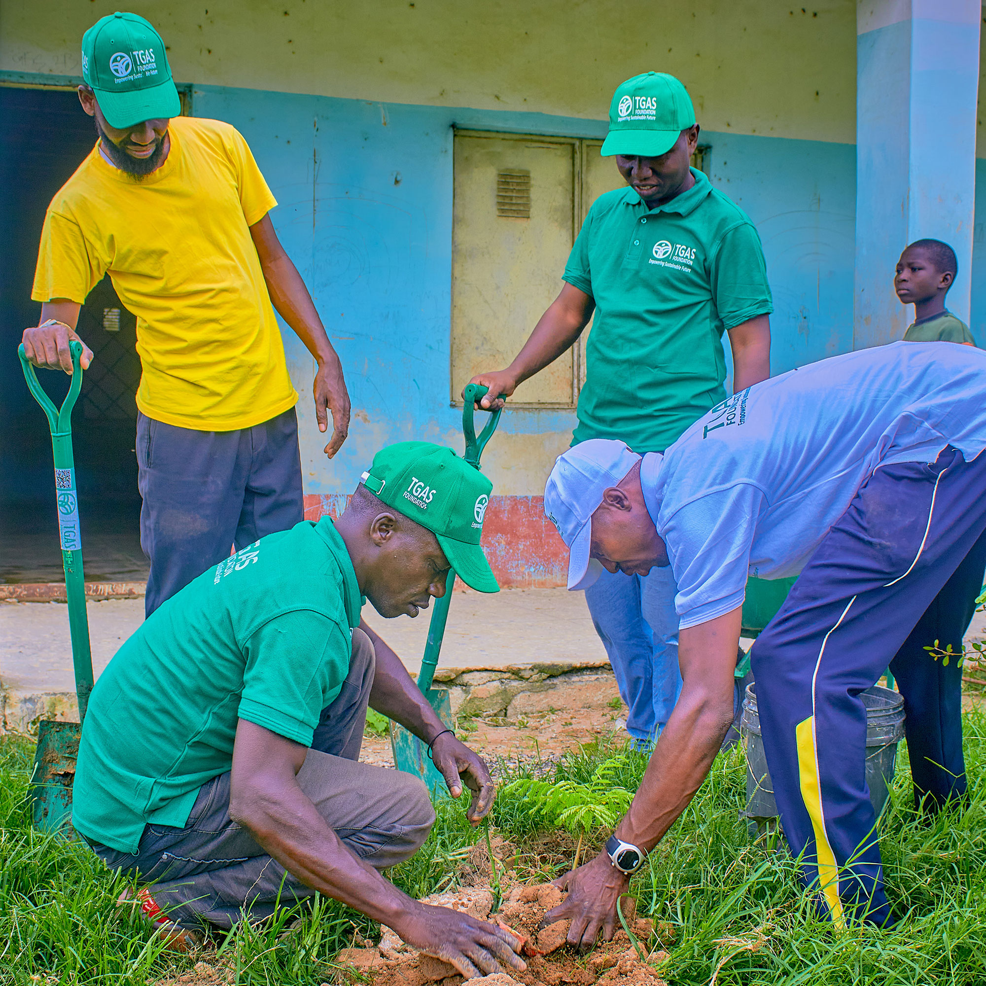 Picture of Community Tree Planting: Building Climate Resilience from the Ground Up ...